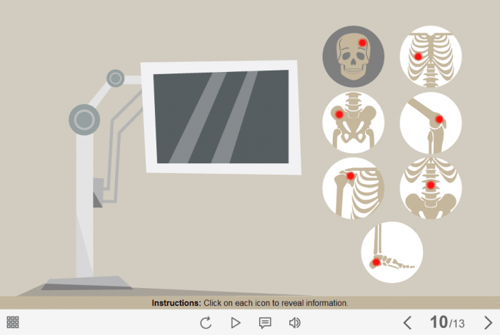 X-Ray Icons — Lectora Template-61346