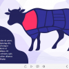 Cut of Beef — Lectora Template-61384