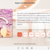 Tabs with Medical Icons — Lectora Template-61472