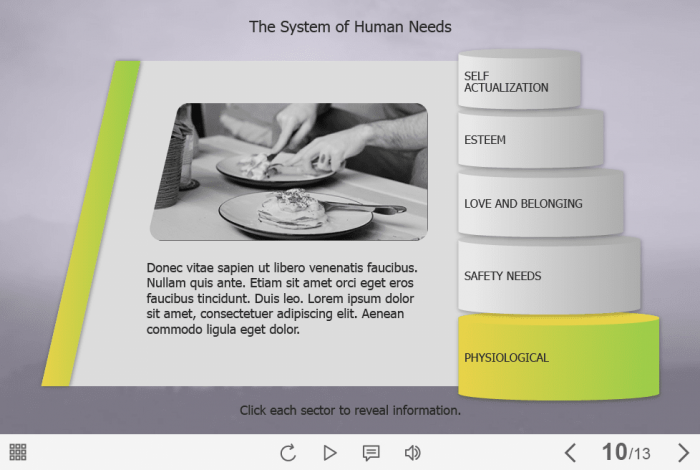 The System of Human Needs Tabs — Captivate Template-61244