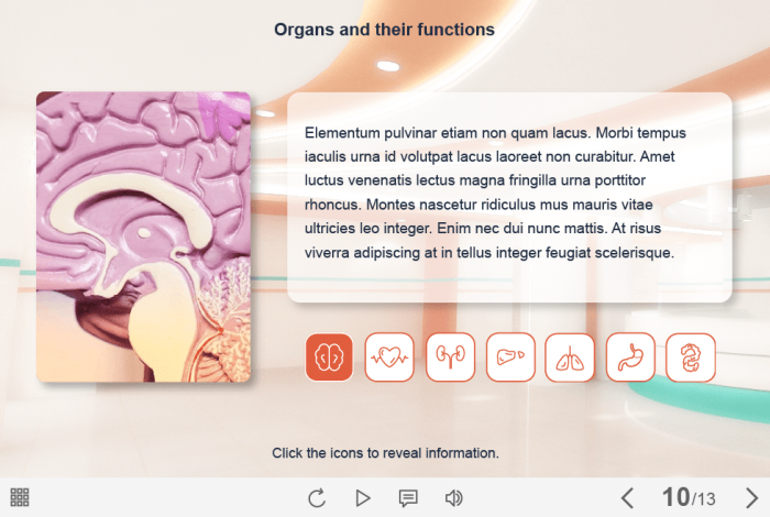 Tabs with Medical Icons — Captivate Template-61248