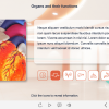 Tabs with Medical Icons — Captivate Template-61249