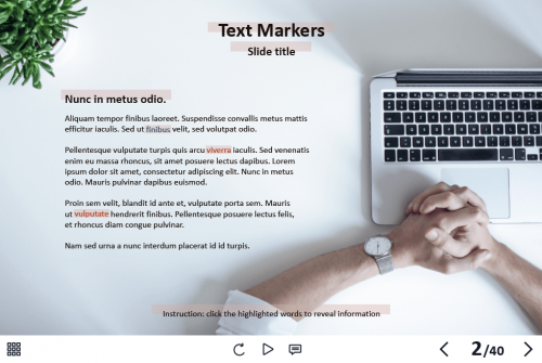 Text Markers — Captivate Template-62075