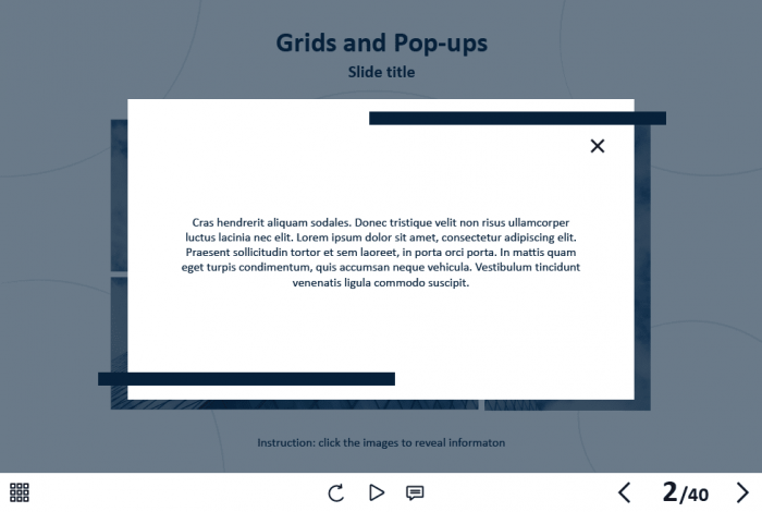 Grid Images — Captivate Template-62081