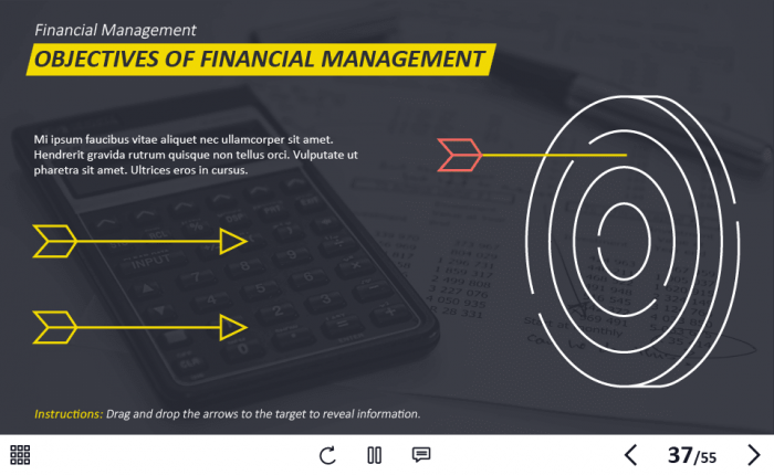 Management and Finances Course Starter Template — Adobe Captivate 2019-62936