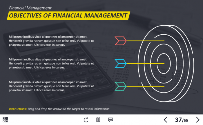 Management and Finances Course Starter Template — Adobe Captivate 2019-62937