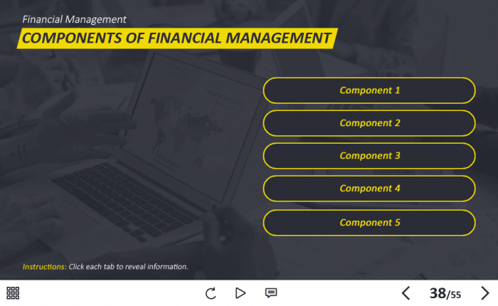 Management and Finances Course Starter Template — Adobe Captivate 2019-62938