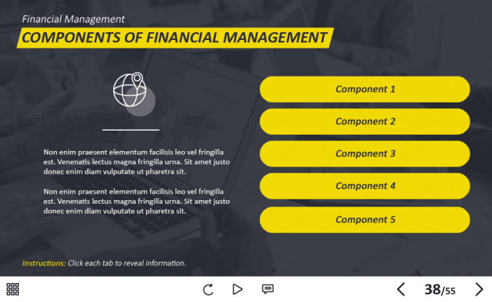 Management and Finances Course Starter Template — Adobe Captivate 2019-62939