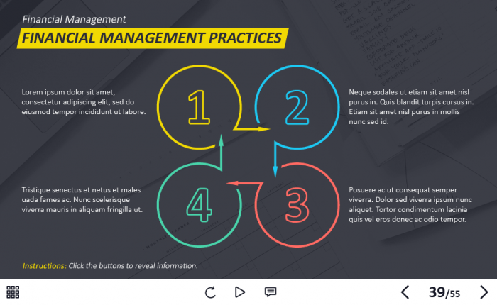 Management and Finances Course Starter Template — Adobe Captivate 2019-62941