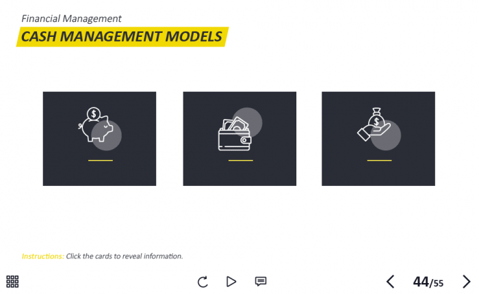 Management and Finances Course Starter Template — Adobe Captivate 2019-62950