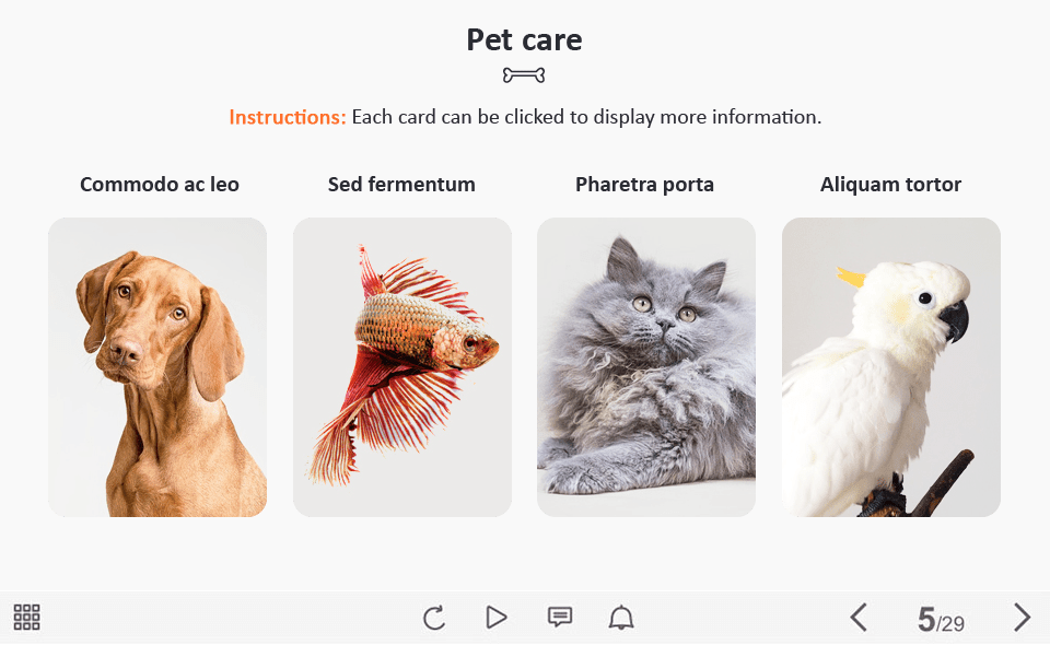 Pet Flip Cards — Captivate Template-0