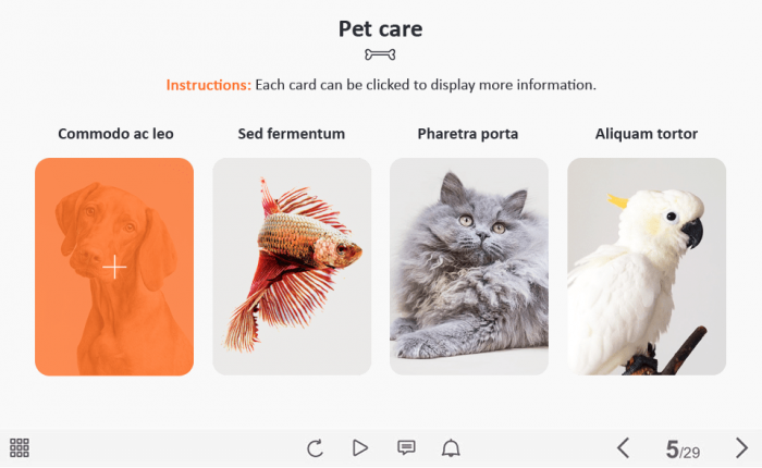 Pet Flip Cards — Captivate Template-62696