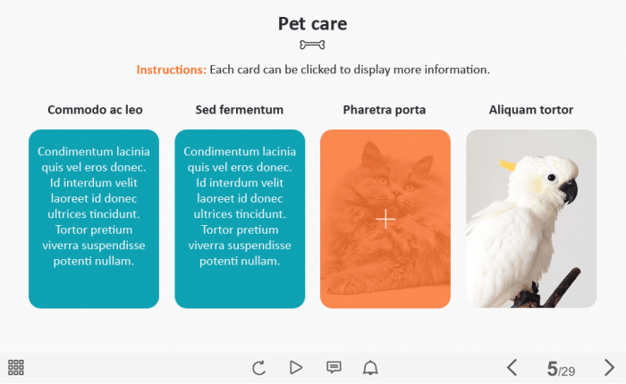 Pet Flip Cards — Captivate Template-62698