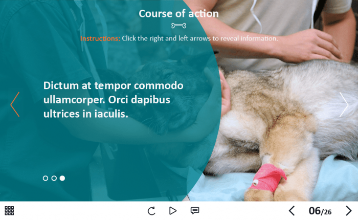 Zoology / Veterinary Course Starter Template — Adobe Captivate 2019-62613