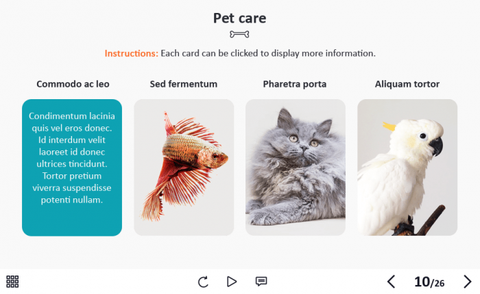 Zoology / Veterinary Course Starter Template — Adobe Captivate 2019-62630