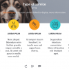 Zoology / Veterinary Course Starter Template — Adobe Captivate 2019-62640