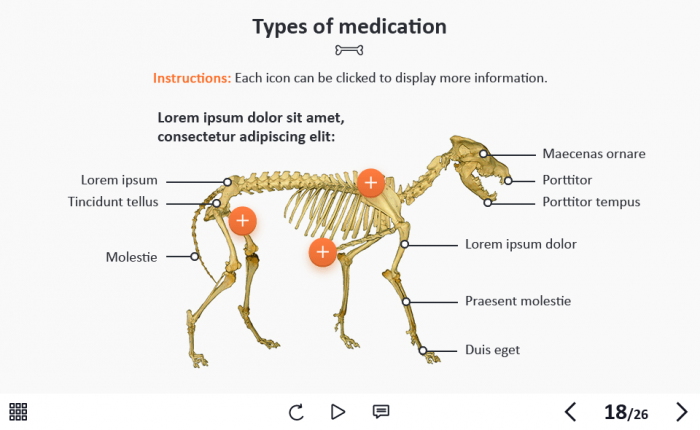 Zoology / Veterinary Course Starter Template — Adobe Captivate 2019-62654
