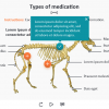 Zoology / Veterinary Course Starter Template — Adobe Captivate 2019-62655