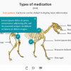 Zoology / Veterinary Course Starter Template — Adobe Captivate 2019-62656