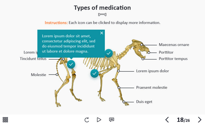 Zoology / Veterinary Course Starter Template — Adobe Captivate 2019-62656