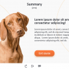 Zoology / Veterinary Course Starter Template — Adobe Captivate 2019-62680