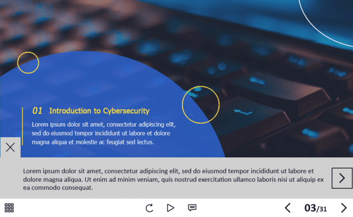 Cyber Security Course Starter Template — Adobe Captivate 2019-62143