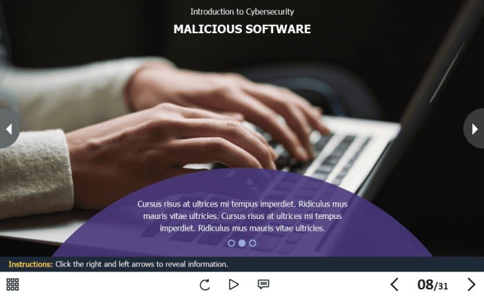 Cyber Security Course Starter Template — Adobe Captivate 2019-62151