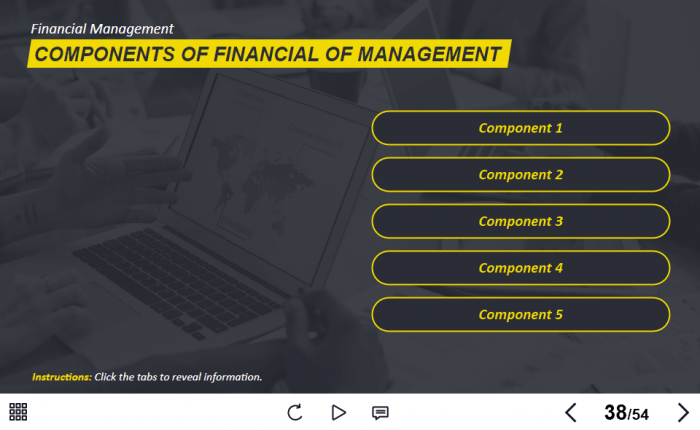 Management and Finances Course Starter Template — Trivantis Lectora-63379