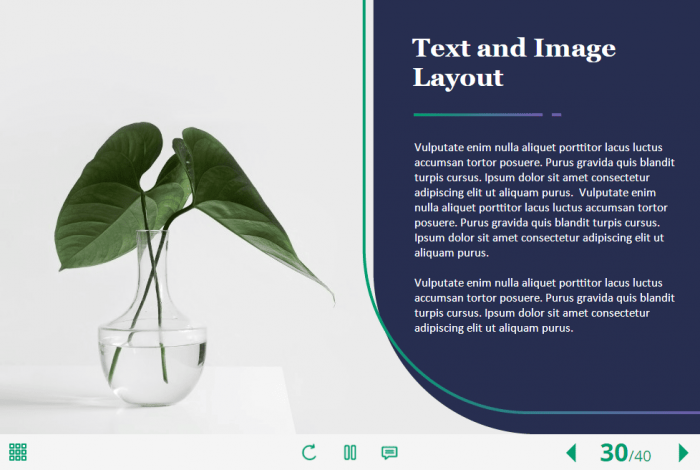 Common Business Course Starter Template — Articulate Storyline-63897
