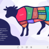 Cut of Beef — Captivate Template-60975