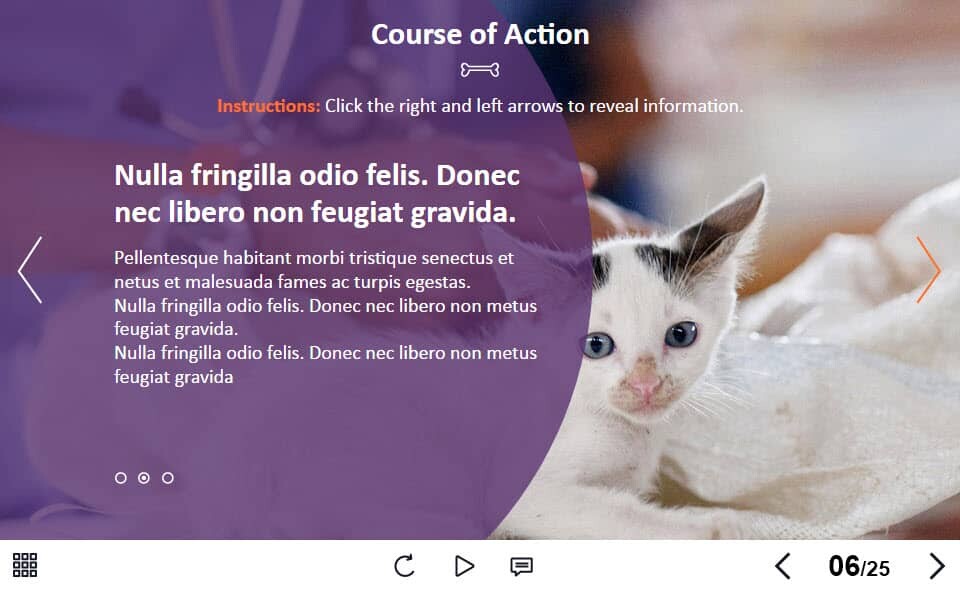 BP_001_TL_ZO_1_PW014