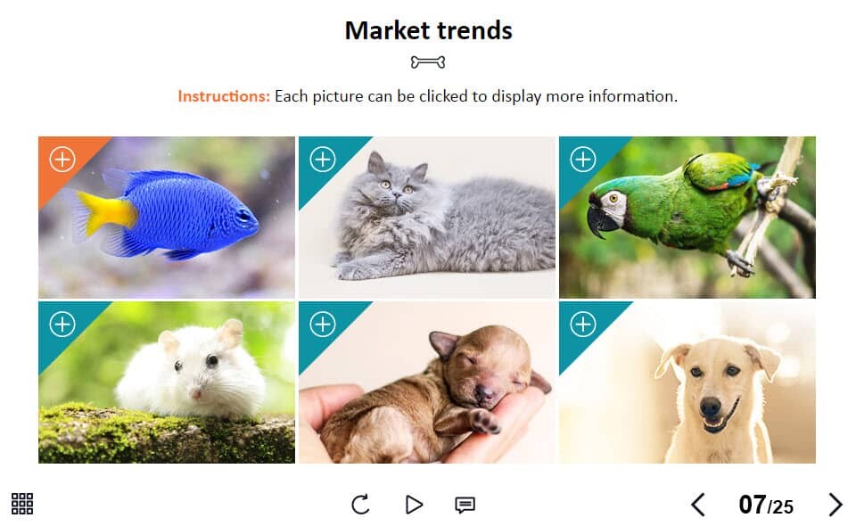 BP_001_TL_ZO_1_PW016