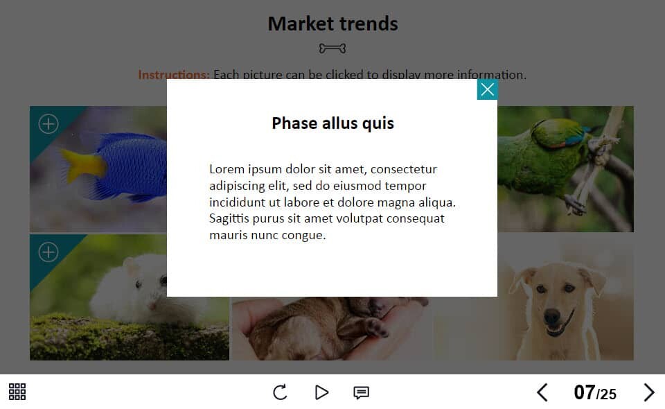 BP_001_TL_ZO_1_PW017