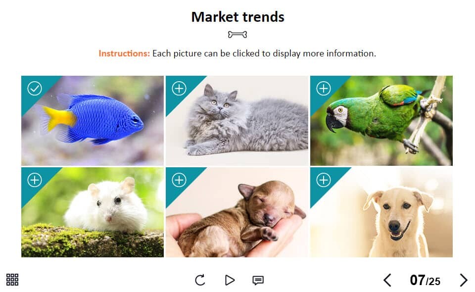 BP_001_TL_ZO_1_PW018