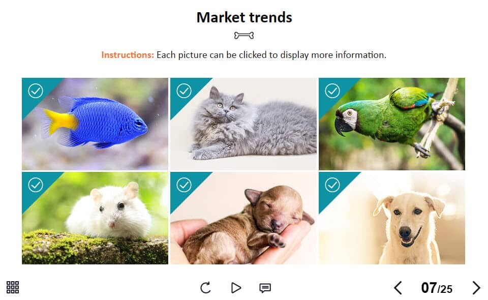 BP_001_TL_ZO_1_PW020