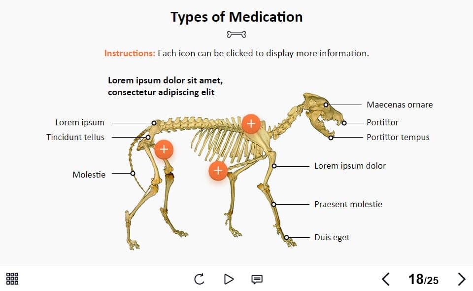 BP_001_TL_ZO_1_PW050