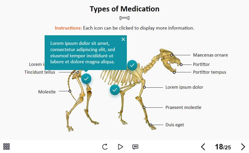 BP_001_TL_ZO_1_PW051
